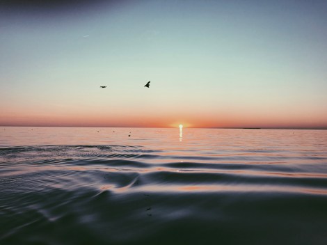 Processed with VSCO with p5 preset