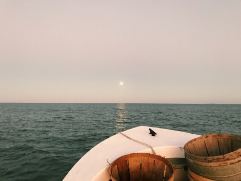 Processed with VSCO with c1 preset